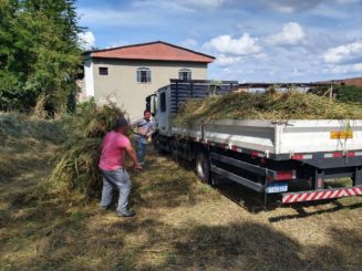 Mutirão de limpeza na UMEI Cornelina Carvalho Silvério reforça segurança e bem-estar dos alunos
