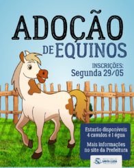 Prefeitura promove doação de equinos