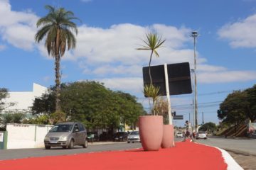 Canteiro central da Avenida Brasília passa por revitalização