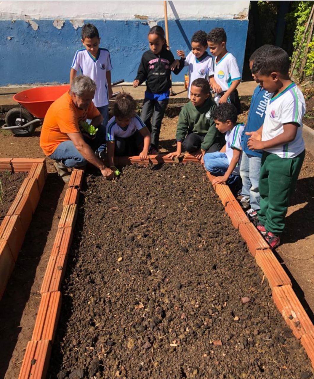Escola Municipal Dom Pedro II desenvolve Projeto Horta Orgânica