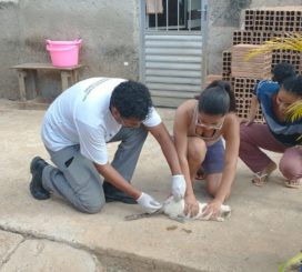 Prefeitura inicia vacinação antirrábica na zona rural da cidade
