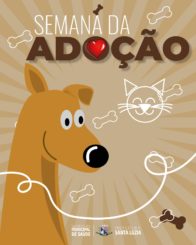 Semana da adoção animal