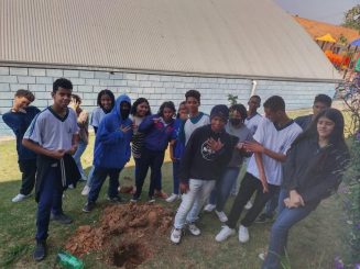 Projeto com alunos da Escola Municipal Dulce Viana de Assis Moreira incentiva sustentabilidade