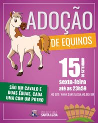 Inscrições para adoção de equinos podem ser feitas até às 23h59 desta sexta