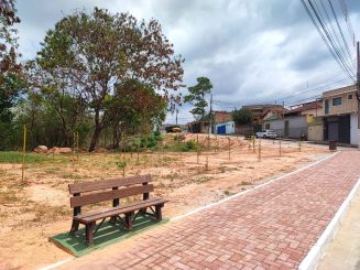 Prefeitura inicia projeto Bosque Urbano