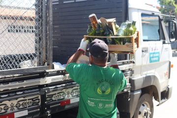 Prefeitura inicia coleta seletiva no bairro Londrina