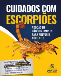 Prefeitura orienta população sobre cuidados com escorpiões