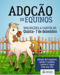 Inscrições para adoção de equinos na próxima quinta-feira (7)
