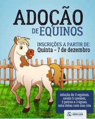 Inscrições para adoção de equinos começam à 0h desta quinta-feira (7)