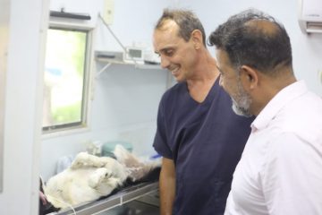 Prefeitura promove castração de cães e gatos