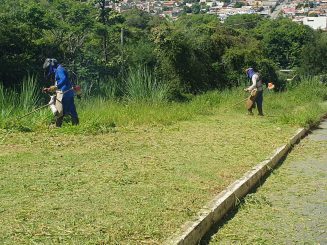 Prefeitura segue realizando capina e limpeza nos bairros da cidade