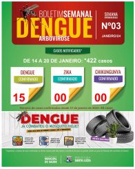 Boletim Dengue