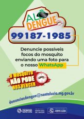 Santa Luzia conta com você para enfrentar a epidemia de dengue