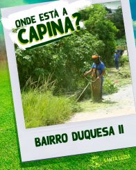 Serviços de capina são realizados na cidade