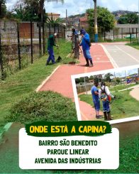 Serviços de capina e limpeza percorrem a cidade