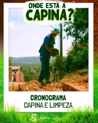 Acompanhe o cronograma dos serviços de capina e limpeza