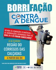 Canceladas borrifações contra o Aedes aegypti devido às chuvas