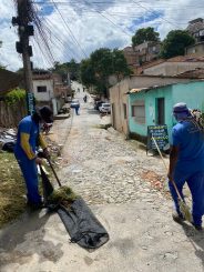Serviços de capina avançam no distrito e na sede