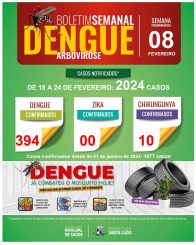 Boletim da Dengue