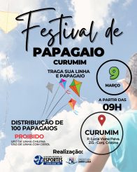 Festival de pipas e papagaios no Espaço Curumim