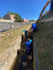 Ponte Velha e Parque Linear estiveram dentre os serviços de capina e limpeza essa semana