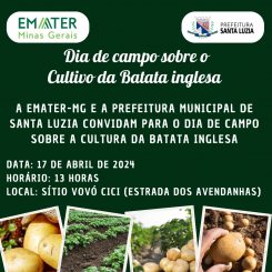 Prefeitura e Emater promovem capacitação em cultivo de batata inglesa para produtos rurais