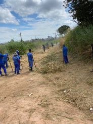 Parque Linear e Av. das Indústrias receberão capina e limpeza esta semana