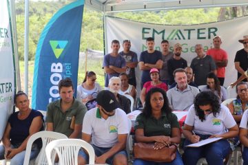 Encontro discute estratégias de fortalecimento da produção de batata inglesa destinada à merenda escolar da rede municipal