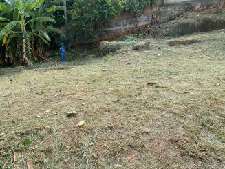 Limpeza urbana estará atuando esta semana na Av. das Indústrias e no Parque Linear