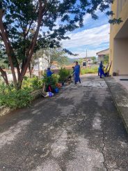 Novo Fórum e Canal do Palmital dentre os pontos para limpeza e capina esta semana