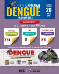 Boletim das arboviroses
