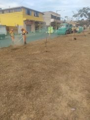 Serviços de capina e varrição não param no município de Santa Luzia