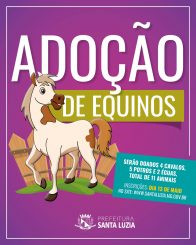 Prefeitura anuncia inscrições para a doação de 11 equinos