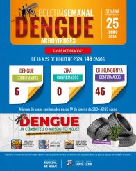 Boletim da Dengue