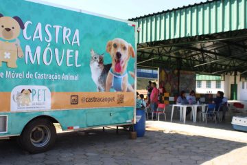 Mais de 200 animais entre cães e gatos devem ser castrados até quinta-feira