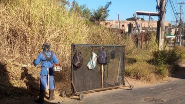 Programação da semana para capina e limpeza em Santa Luzia