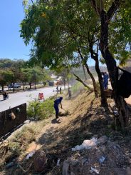 Retrospectiva semanal: capina e limpeza em Santa Luzia