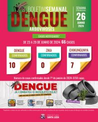 Boletim semanal da Dengue