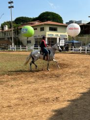 36ª Feira de Gado e Rodeio Show de Santa Luzia se despede com grandes atrações e celebração dos produtores locais