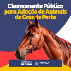 Chamamento público para adoção de animais de grande porte