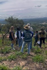 Cuidando de Santa Luzia: Monitoramento e orientação em áreas irregulares