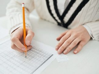 Aberto Processo Seletivo Simplificado para contratação temporária na Secretaria de Meio Ambiente